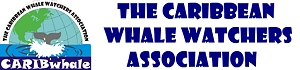 protecting cetaceans and their habitat in the Caribbean, promoting responsible whale watching,  research, conservation, education and advocacy.