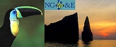 Galapagos + Amazonian Rainforest Experiences