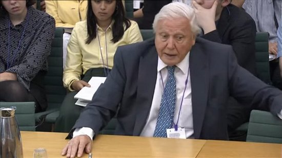 Sir David Attenborough Q&A session with British Parliament