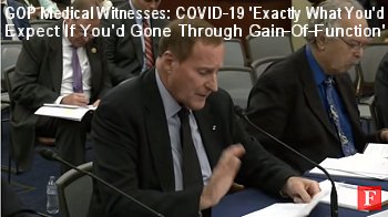 scientist testifies to GOP House Oversight and Reform Subcommittee on Select Coronavirus Crisis, 19.30 min. clik to watch