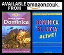Click here to order from Amazon bookstore